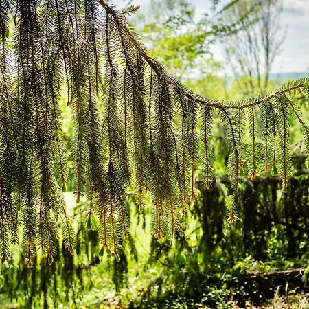 Holiday home Gemuetliches, Heimeliges *