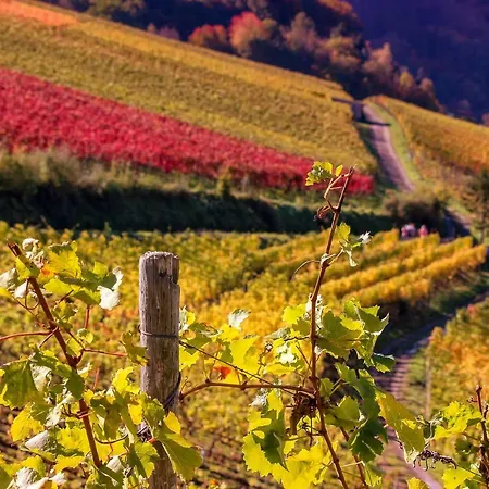 Gemuetliches, Heimeliges * ガルス・アム・カンプ