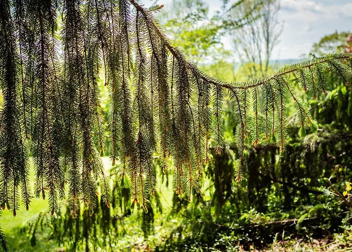 Prázdninový dům Gemuetliches, Heimeliges *