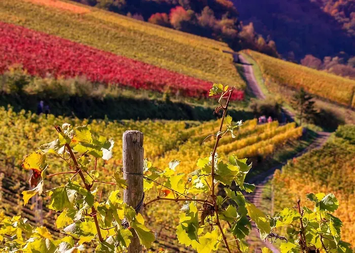Gemütliches, Heimeliges * Gars am Kamp